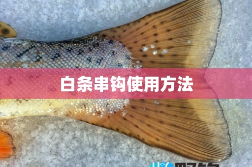 白条串钩使用方法