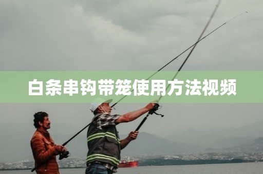 白条串钩带笼使用方法视频