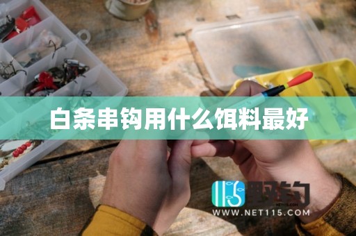 白条串钩用什么饵料最好