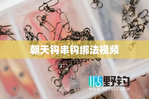 朝天钩串钩绑法视频
