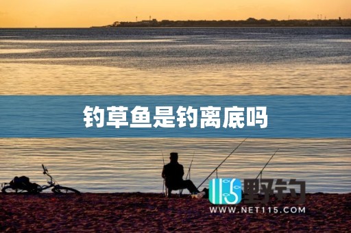 钓草鱼是钓离底吗