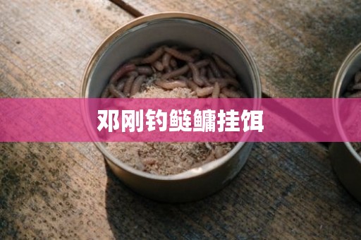 邓刚钓鲢鳙挂饵