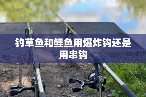 钓草鱼和鲤鱼用爆炸钩还是用串钩