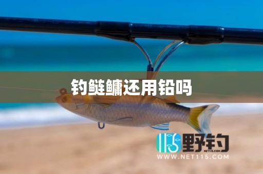 钓鲢鳙还用铅吗