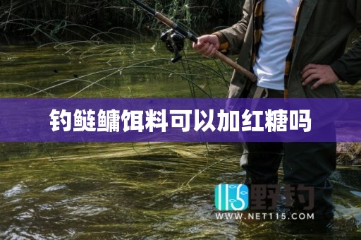 钓鲢鳙饵料可以加红糖吗