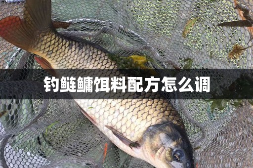 钓鲢鳙饵料配方怎么调
