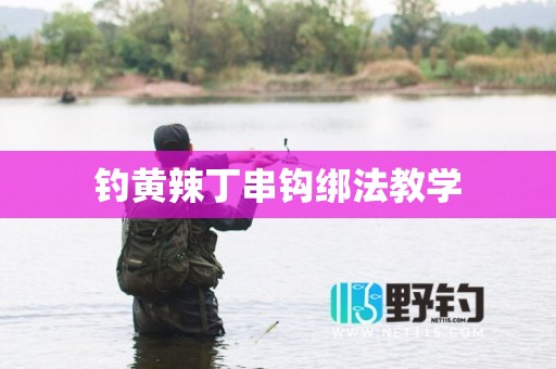 钓黄辣丁串钩绑法教学