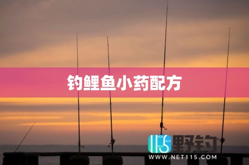 钓鲤鱼小药配方