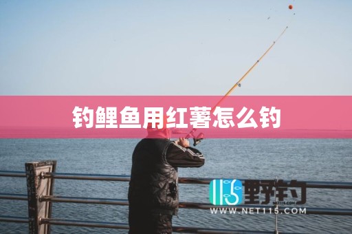 钓鲤鱼用红薯怎么钓