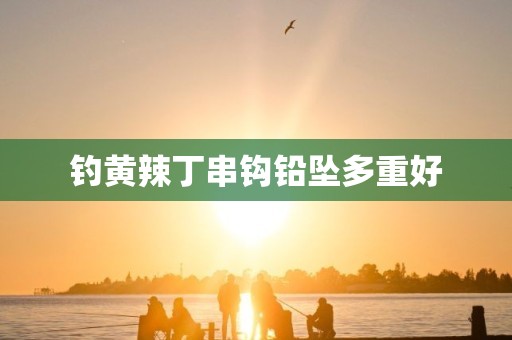 钓黄辣丁串钩铅坠多重好