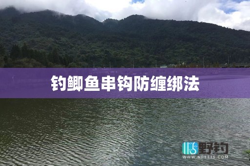 钓鲫鱼串钩防缠绑法