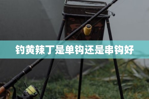 钓黄辣丁是单钩还是串钩好