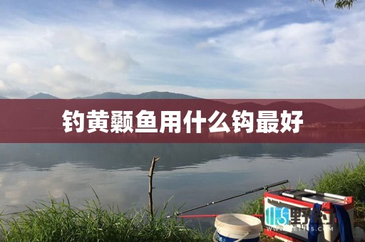 钓黄颡鱼用什么钩最好
