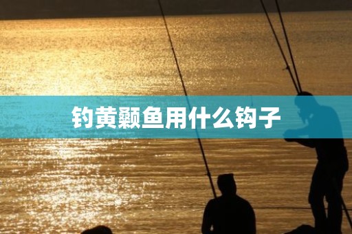 钓黄颡鱼用什么钩子
