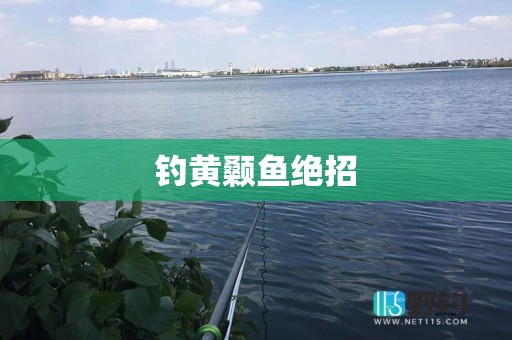 钓黄颡鱼绝招