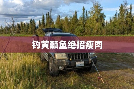 钓黄颡鱼绝招瘦肉