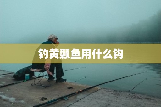 钓黄颡鱼用什么钩