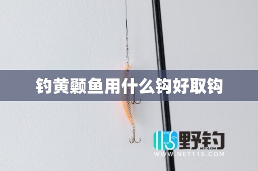 钓黄颡鱼用什么钩好取钩
