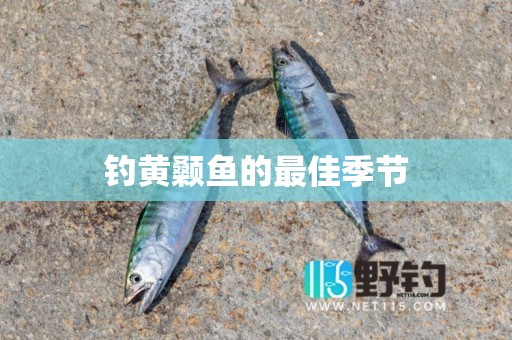 钓黄颡鱼的最佳季节