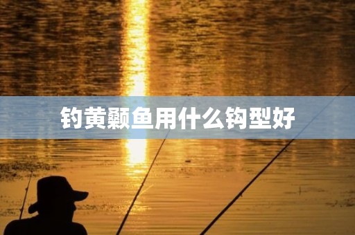 钓黄颡鱼用什么钩型好