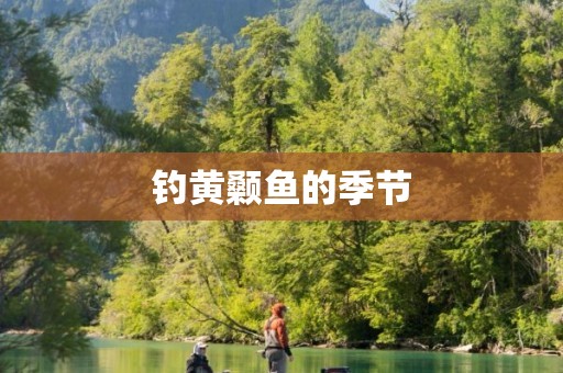 钓黄颡鱼的季节