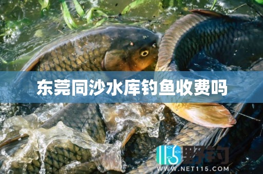 东莞同沙水库钓鱼收费吗