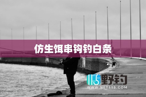 仿生饵串钩钓白条