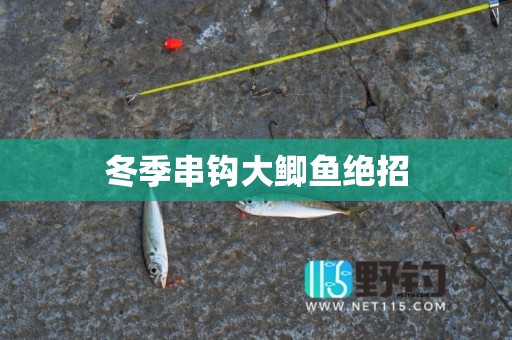 冬季串钩大鲫鱼绝招
