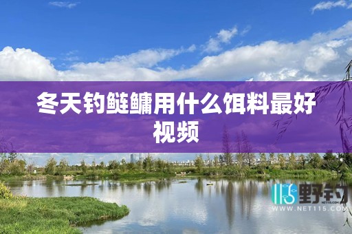 冬天钓鲢鳙用什么饵料最好视频