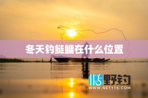 冬天钓鲢鳙在什么位置