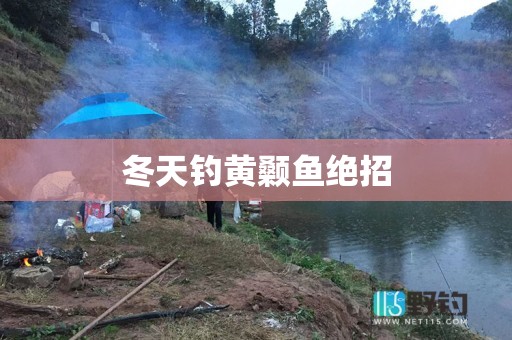冬天钓黄颡鱼绝招