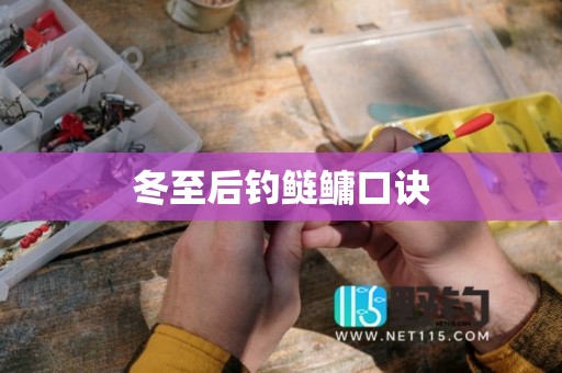冬至后钓鲢鳙口诀