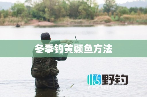 冬季钓黄颡鱼方法
