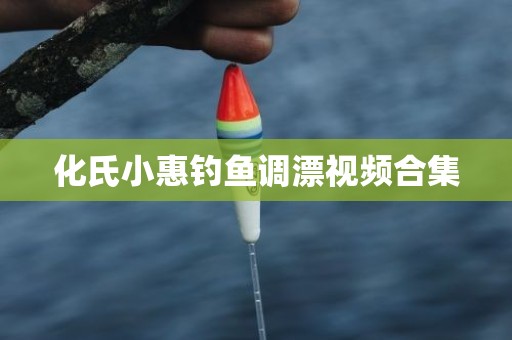 化氏小惠钓鱼调漂视频合集