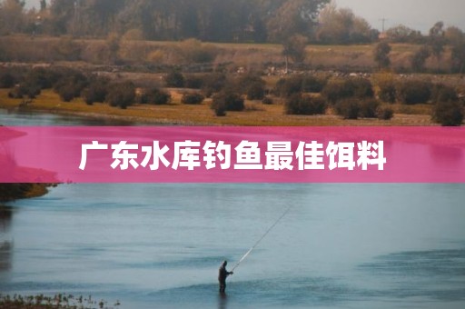 广东水库钓鱼最佳饵料