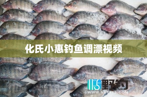 化氏小惠钓鱼调漂视频
