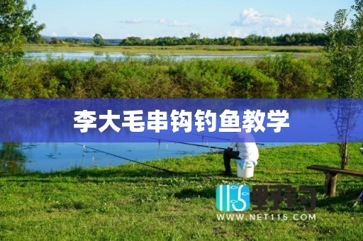 李大毛串钩钓鱼教学