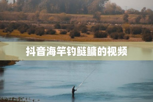 抖音海竿钓鲢鳙的视频