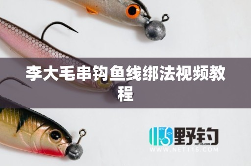 李大毛串钩鱼线绑法视频教程