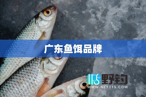 广东鱼饵品牌