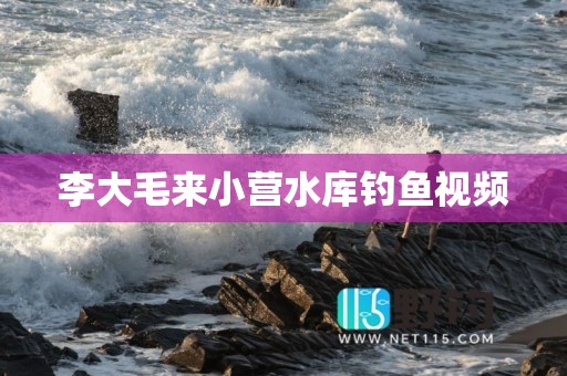 李大毛来小营水库钓鱼视频
