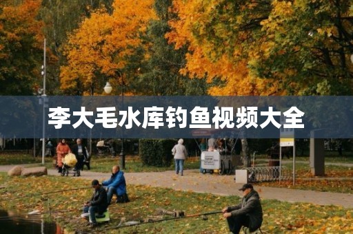 李大毛水库钓鱼视频大全