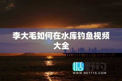 李大毛如何在水库钓鱼视频大全