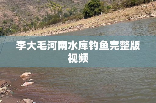 李大毛河南水库钓鱼完整版视频
