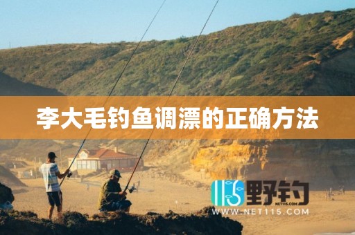 李大毛钓鱼调漂的正确方法