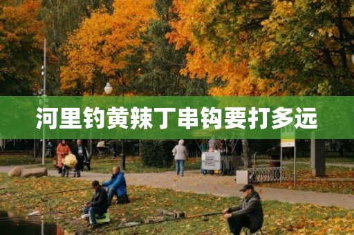 河里钓黄辣丁串钩要打多远