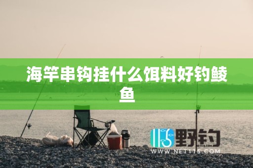 海竿串钩挂什么饵料好钓鲮鱼