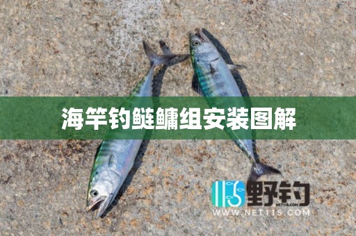 海竿钓鲢鳙组安装图解