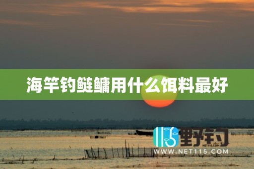 海竿钓鲢鳙用什么饵料最好