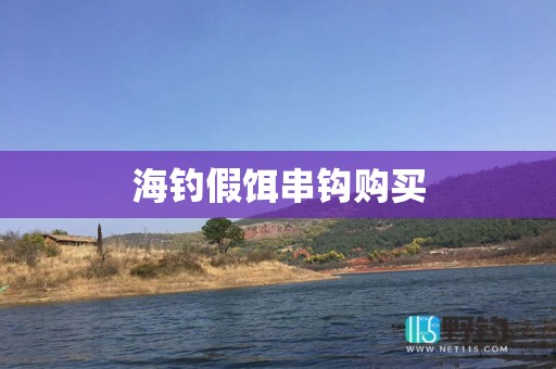 海钓假饵串钩购买